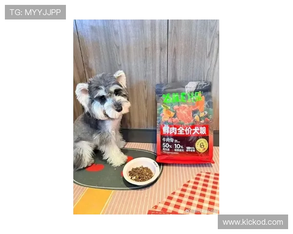 拉莫斯家的狗都吃有机牛排？