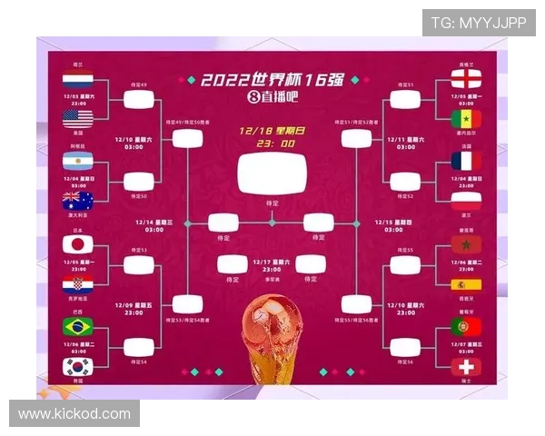 日本世界杯球队整体水平达到什么高度